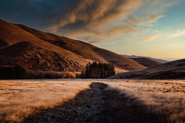 Mastering Sky Replacements: A Guide for Transforming Your Photos