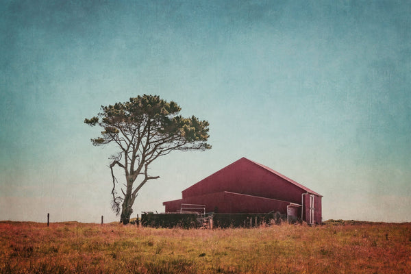 Adding Textures to Photos Using Blend Modes: A Step-by-Step Guide